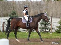 Hubertus 2026 w Hipolandzie (10.10.2026r.)